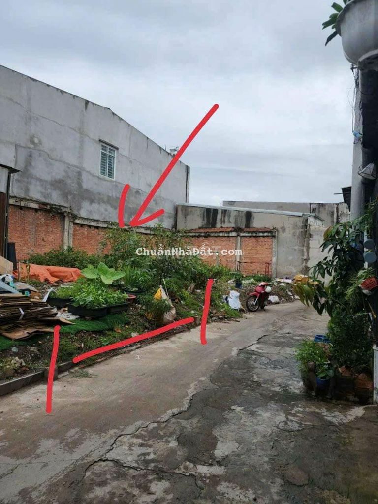 Đất bình nhâm giá rẻ