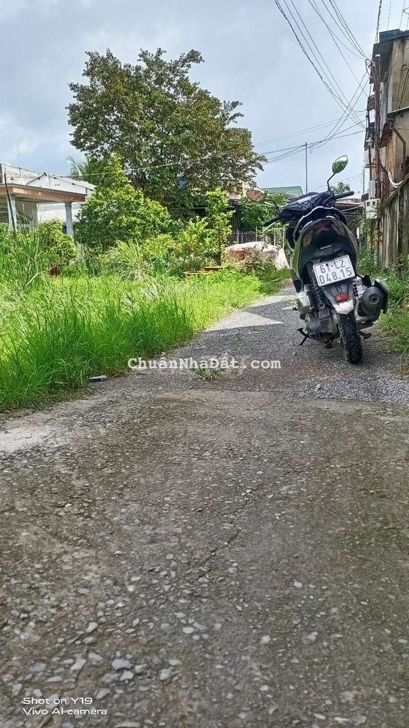 Đất Trung tâm vĩnh phú