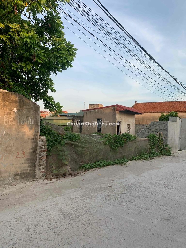 đất rẻ đường trục chính thông rộng 8m đất rẻ đường trục chính thông rộng 8m