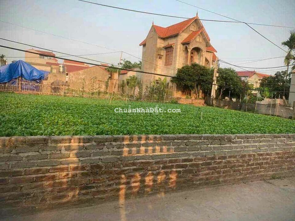 đất rẻ đường trục chính thông rộng 8m đất rẻ đường trục chính thông rộng 8m