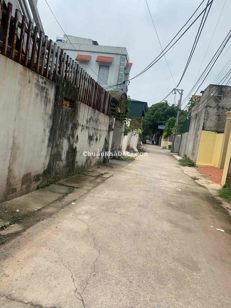 đất rẻ tự nhiên thường tín đất rẻ tự nhiên thường tín