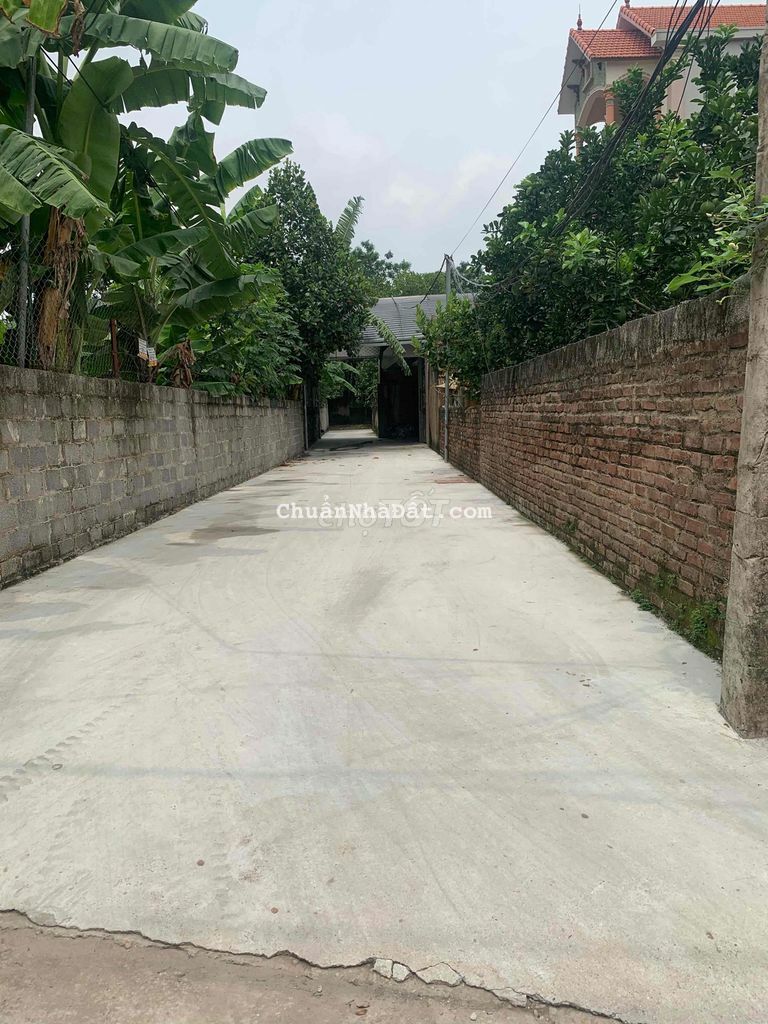 đất rẻ tự nhiên thường tín đất rẻ tự nhiên thường tín