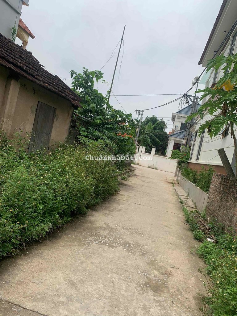 đất rẻ tự nhiên thường tín đất rẻ tự nhiên thường tín