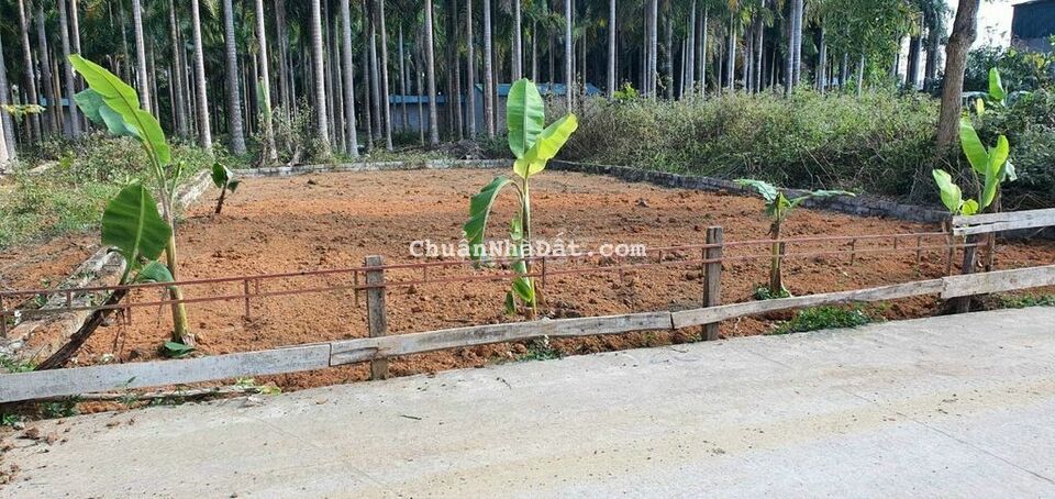 DT100m , MT 5m , đg 10m ,quá đẹp xây trọ, DT100m , MT 5m , đg 10m ,quá đẹp xây trọ,