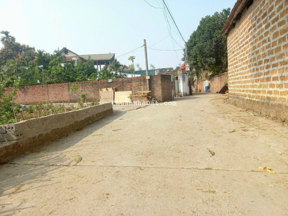 Bán gấp cắt lỗ đất trục chính thôn 3 Tân Xã. 3 phút ra ĐH FPT. Xây trọ cực đẹp. 100% thổ cư Bán gấp cắt lỗ đất trục chính thôn 3 Tân Xã. 3 phút ra ĐH FPT. Xây trọ cực đẹp. 100% thổ cư