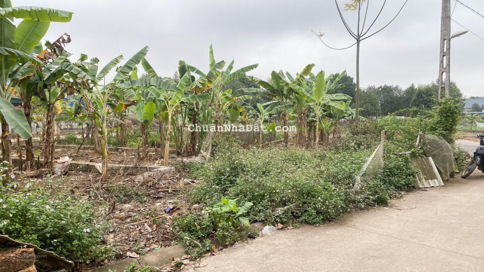 Hơn 800 triệu sở hữu ngay gần 70m2 Sen Trì Bình Yên! LH em Vân 0868819991