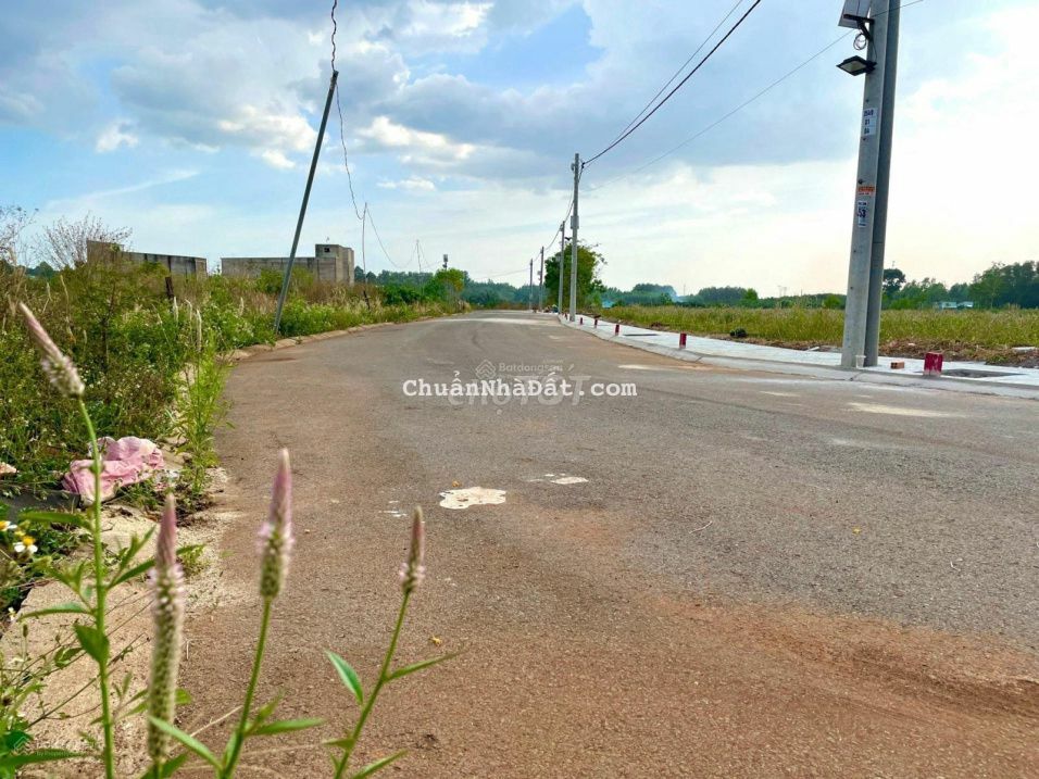 Đất vàng giá tốt- Thị trấn Dầu Giây- Mặt tiền đường xe tải bê tông 8m.