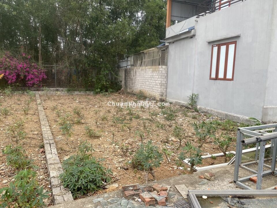 Bán lỗ lô đất SHR - Cạnh bên chợ đầu mối nông sản Dầu Giây. Bán lỗ lô đất SHR - Cạnh bên chợ đầu mối nông sản Dầu Giây.