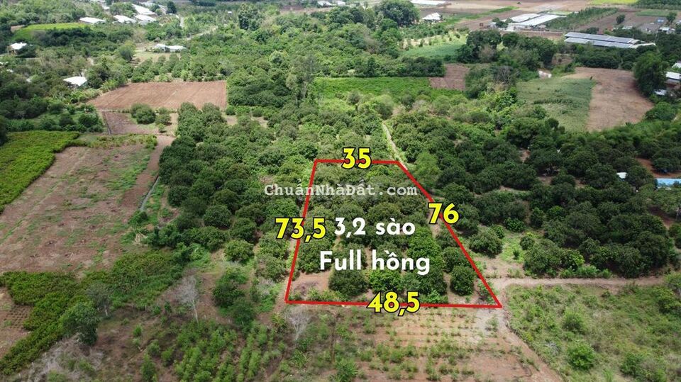 3200m2 full hồng, ngay DT 769, trung tâm Xã Lộ 25 3200m2 full hồng, ngay DT 769, trung tâm Xã Lộ 25