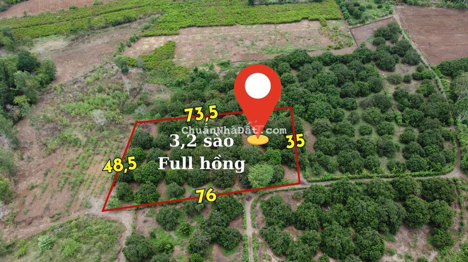 3200m2 full hồng, ngay DT 769, trung tâm Xã Lộ 25 3200m2 full hồng, ngay DT 769, trung tâm Xã Lộ 25