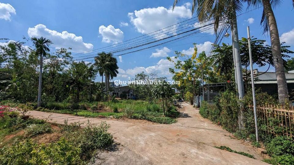 Giảm 200tr bán lô góc 333m2, full thổ, sát vách KCN Dầu Giây, 6,6tr/m2