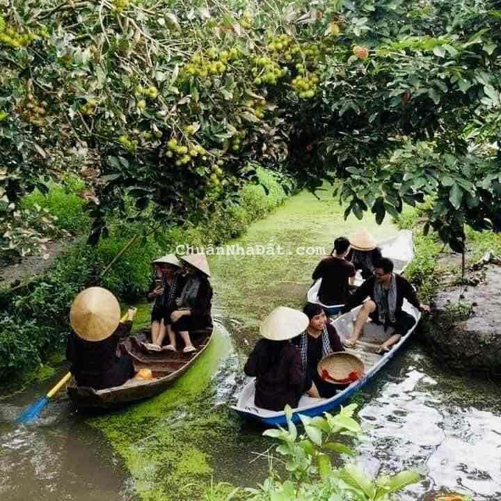 BÁN ĐẤT SAO QUANH SUỐI 200 thổ NGAY LONG KHÁNH