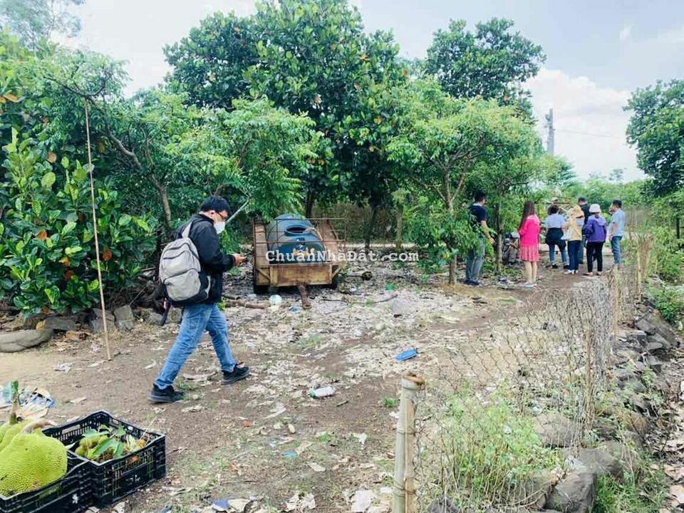 BÁN ĐẤT SAO QUANH SUỐI 200 thổ NGAY LONG KHÁNH