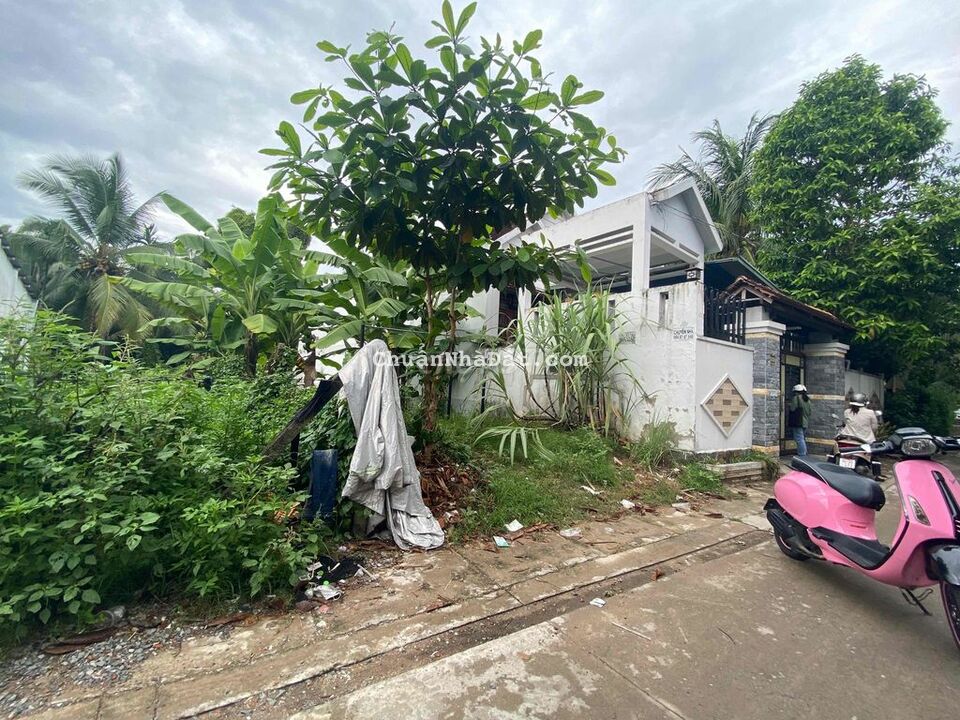 Bán đất Phú Thọ Thủ Dầu Một