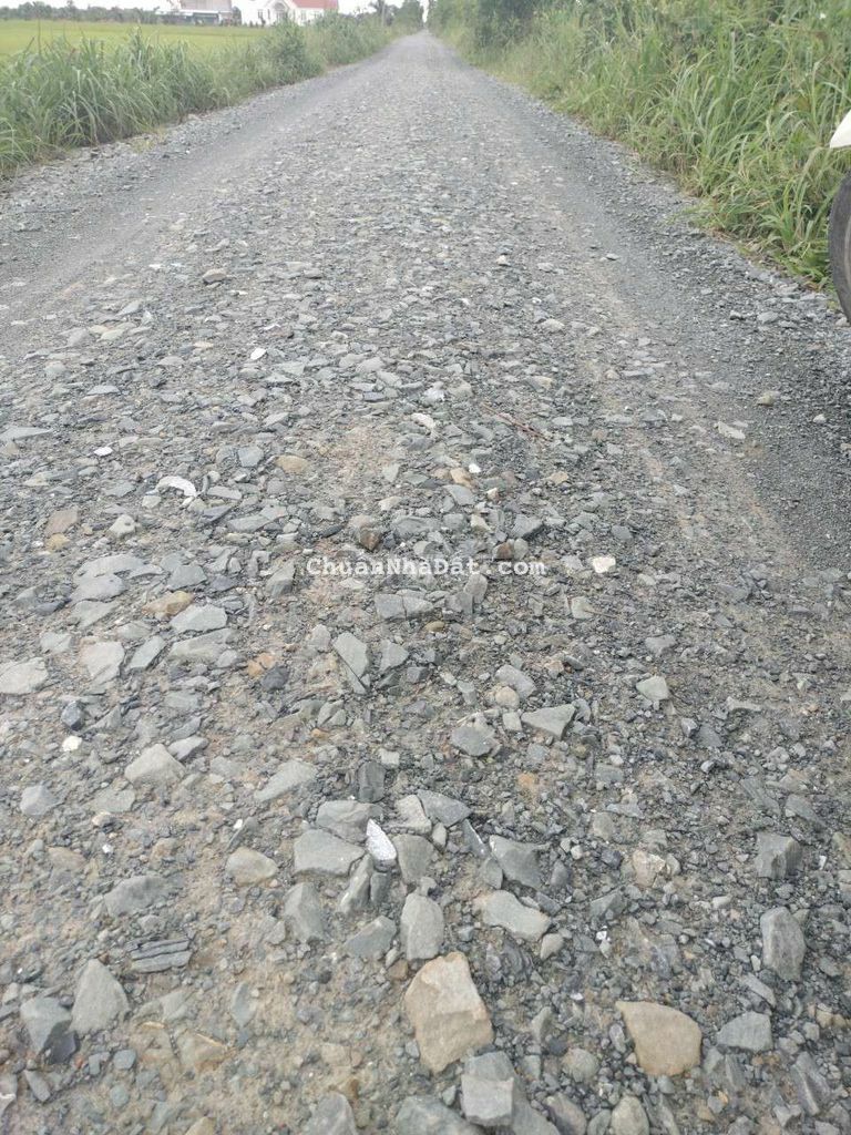 Đất vườn mặt tiền đường kênh.