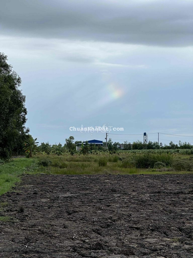 Bán đất vườn 1000m2 xã Tân Thành, huyện Thủ Thừa, Long An siêu đẹp