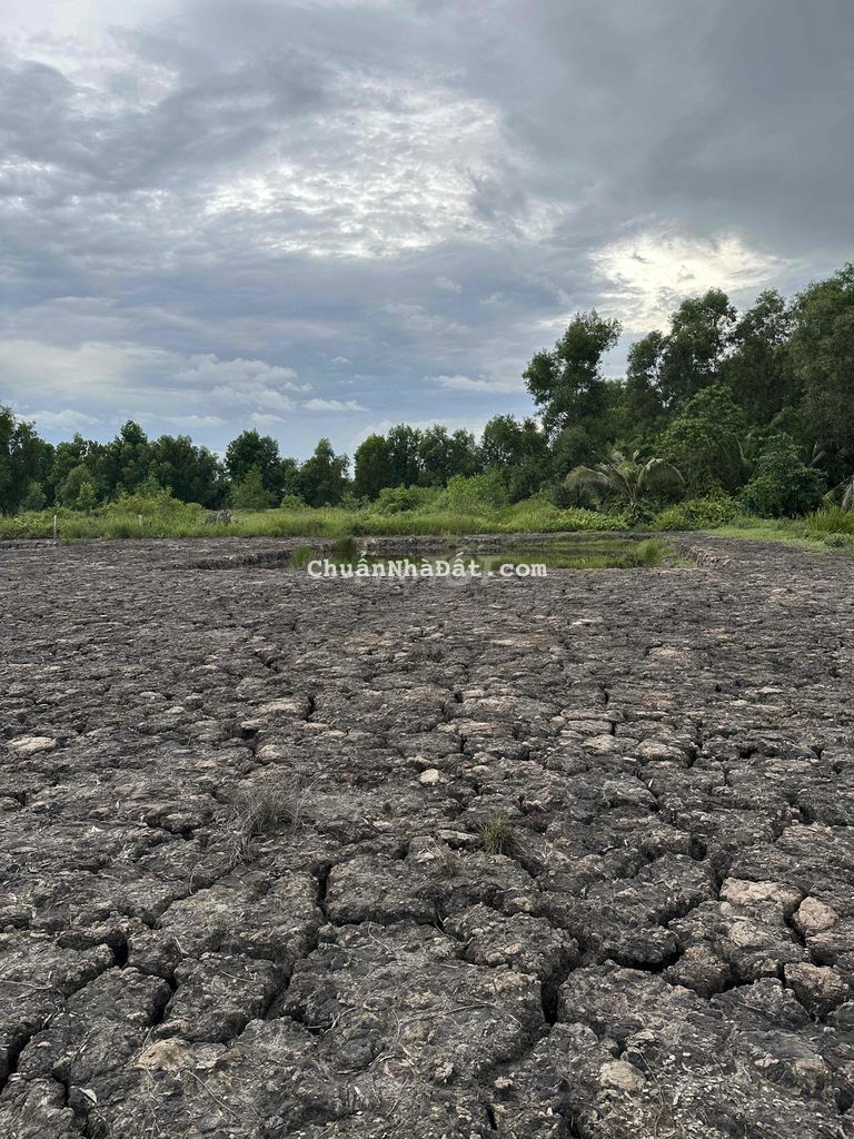 Bán đất vườn 1000m2 xã Tân Thành, huyện Thủ Thừa, Long An siêu đẹp