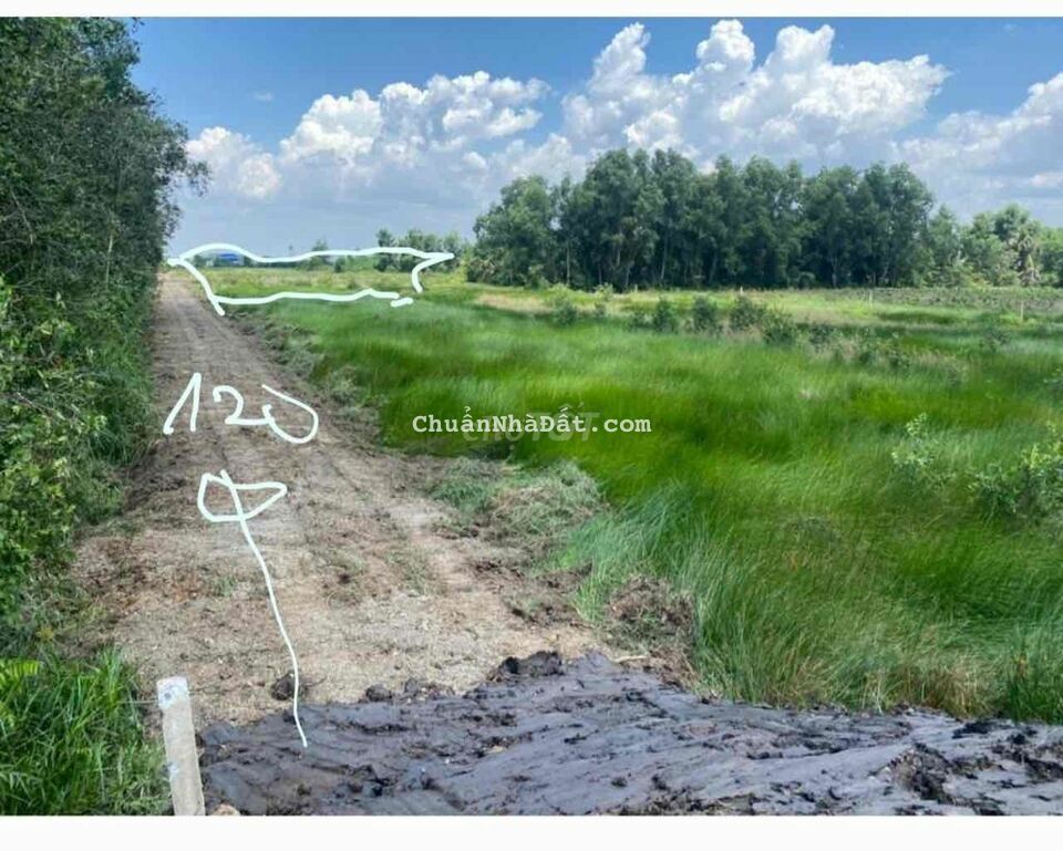 🌺Bán đất Thủ Thừa- long an .Giá bán : 650/100m