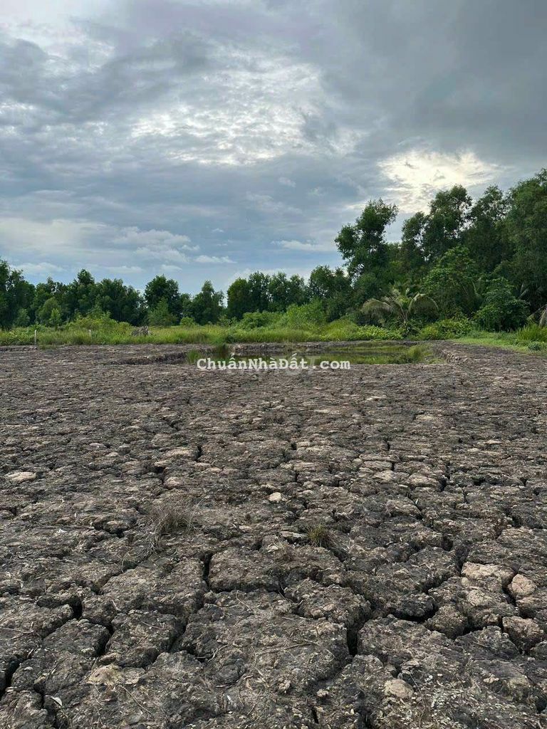 Bán đất vườn 1000m2 Tân Thành, Thủ Thừa, Long An