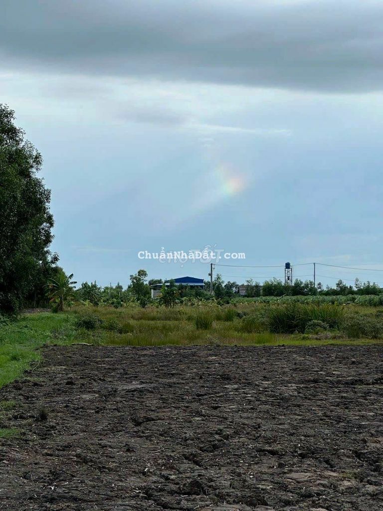 Bán đất vườn 1000m2 Tân Thành, Thủ Thừa, Long An