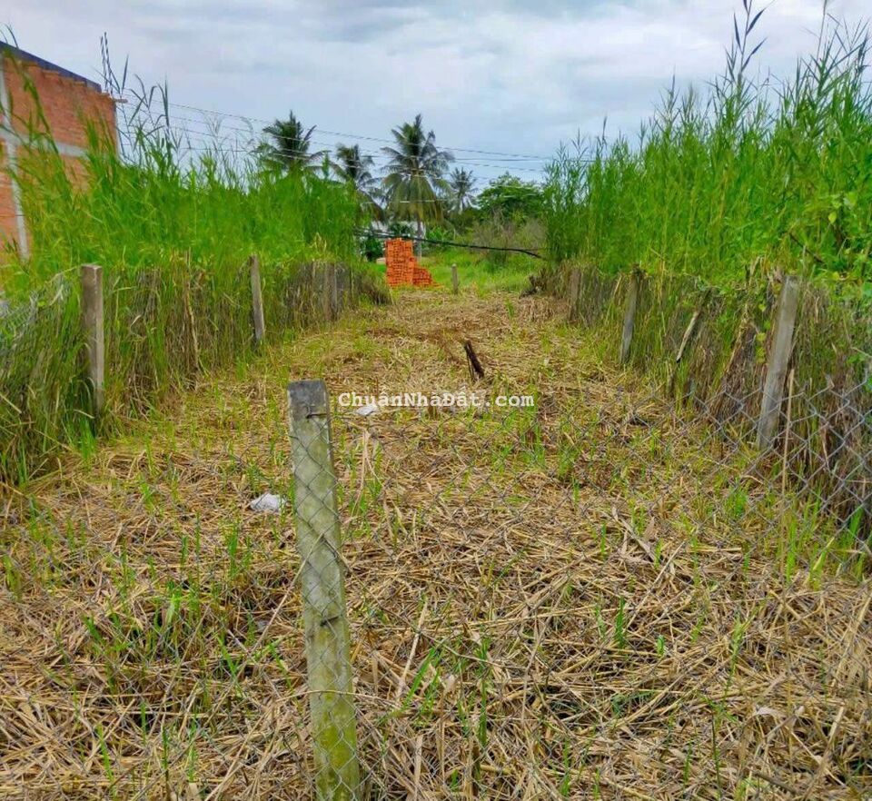 5 x 23m cách Văn Phòng Công Chứng Lê Thị Thanh 700m 5 x 23m cách Văn Phòng Công Chứng Lê Thị Thanh 700m