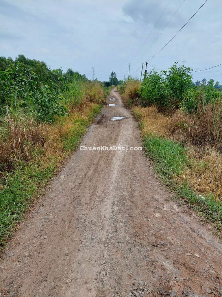 Đất lúa mặt tiền đường bờ kênh 8 m.