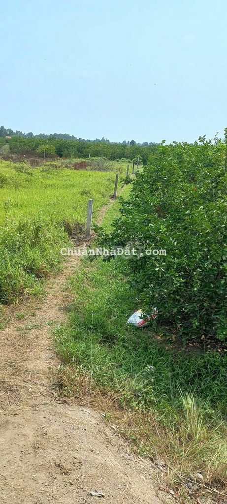 Chính Chủ Muốn Bán Lô Đất Vườn 2000m2, Sổ Hồng Riêng - Công Chứng Ngay