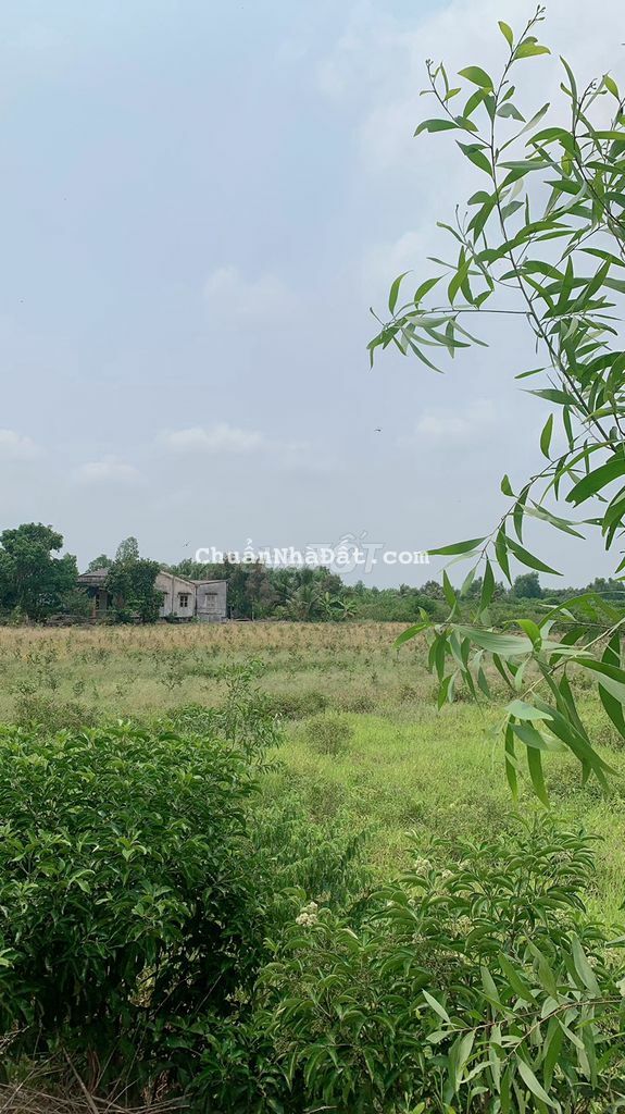 Chính Chủ Muốn Bán Lô Đất Vườn 2000m2, Sổ Hồng Riêng - Công Chứng Ngay