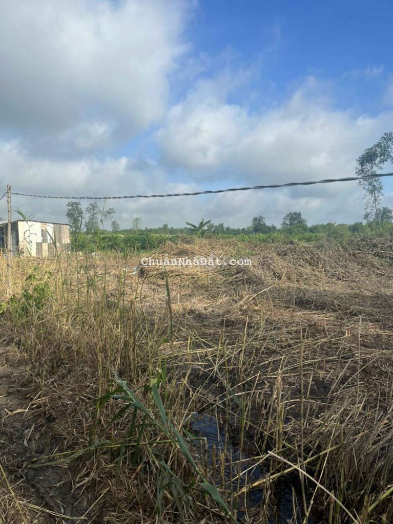 Đất vườn 2 mặt tiền