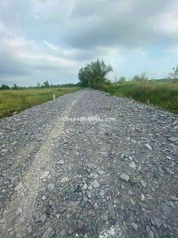 Đất trồng cây hàng năm