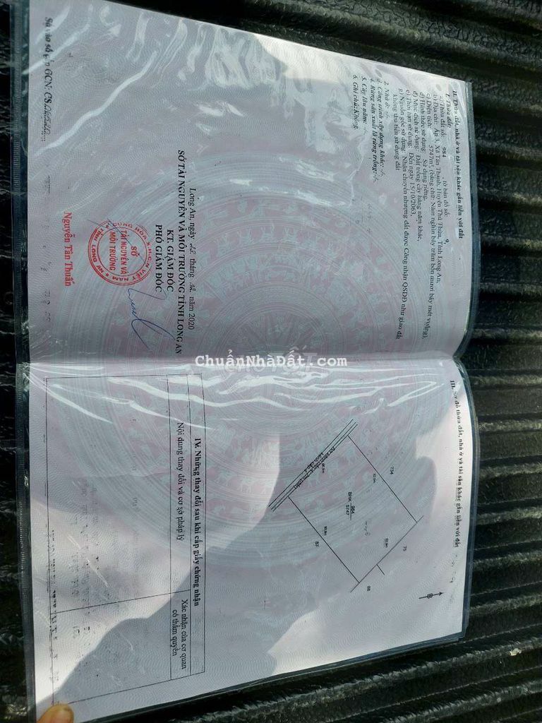 Đất trồng cây hàng năm