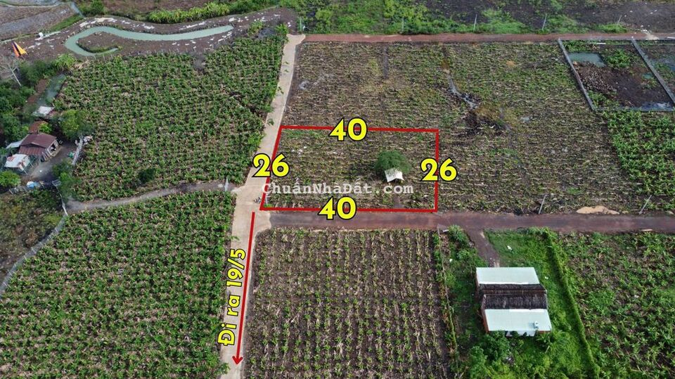 1000m2 2 mặt tiền, đường 19/5, giá ngộp 1,05 tỷ