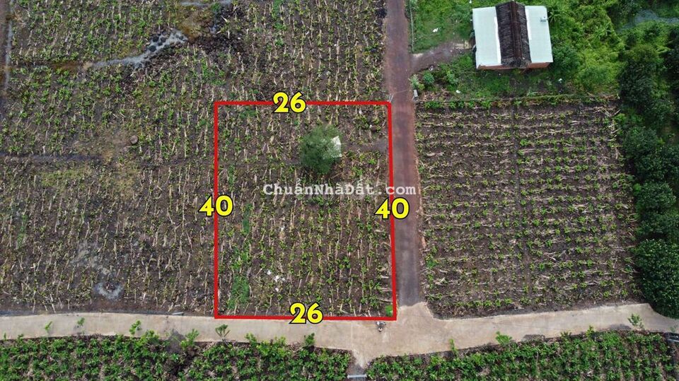 1000m2 2 mặt tiền, đường 19/5, giá ngộp 1,05 tỷ