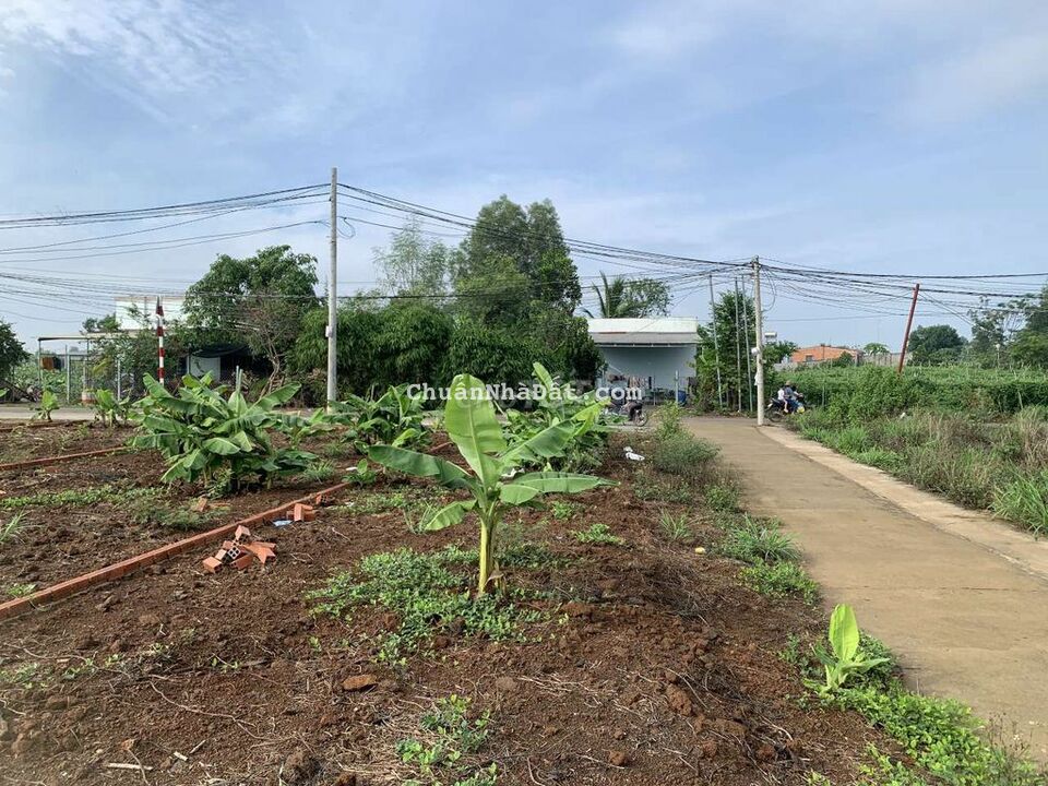 Bán đất sào có 100m thổ cư xã Cây Gáo Trảng Bom Bán đất sào có 100m thổ cư xã Cây Gáo Trảng Bom
