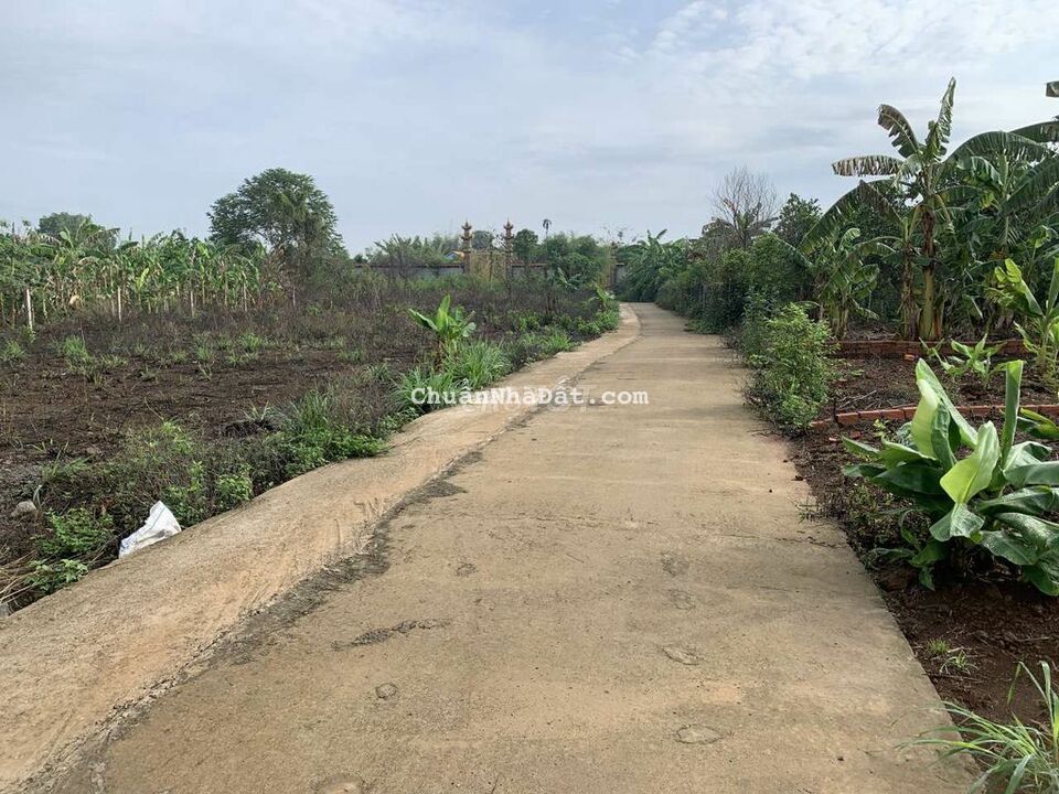 Bán đất sào có 100m thổ cư xã Cây Gáo Trảng Bom Bán đất sào có 100m thổ cư xã Cây Gáo Trảng Bom