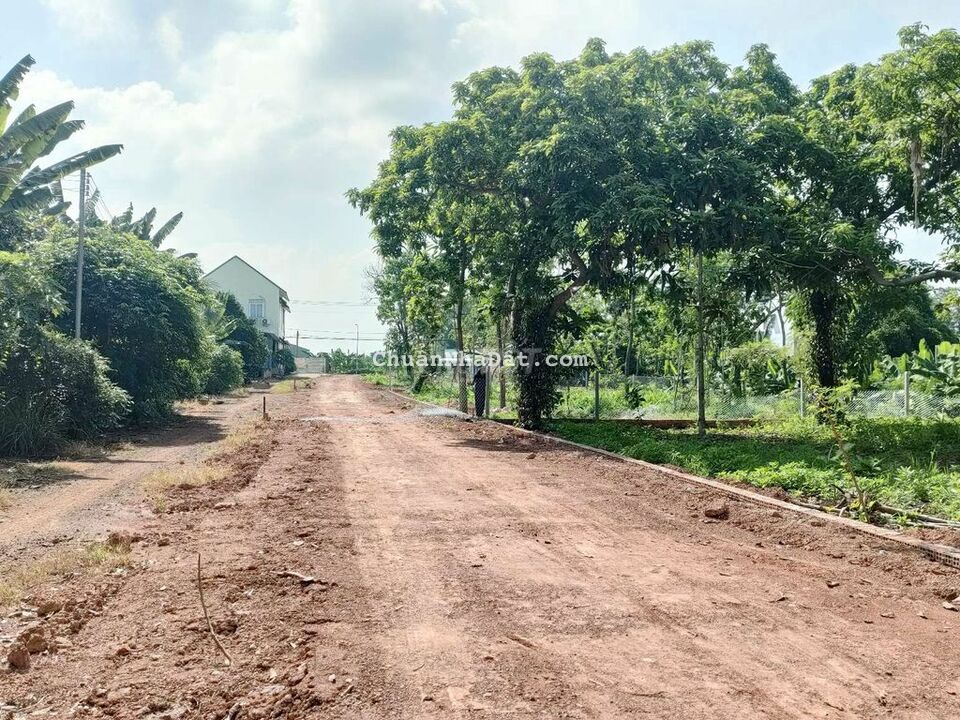 1 sào sổ sẵn đẹp nhất xã Cây Gáo Trảng Bom