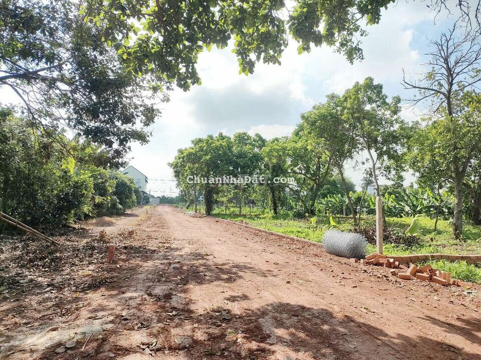 1 sào sổ sẵn đẹp nhất xã Cây Gáo Trảng Bom