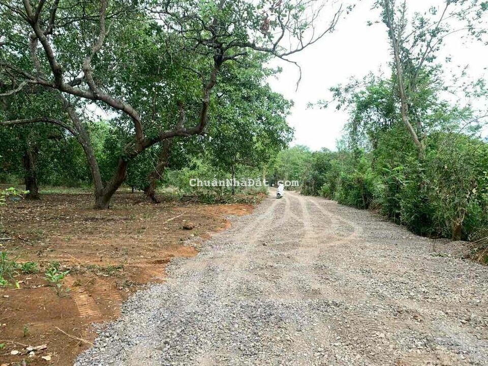 Hàng Ngộp Hơn 700tr/Sào Đông Hoà Trảng Bom