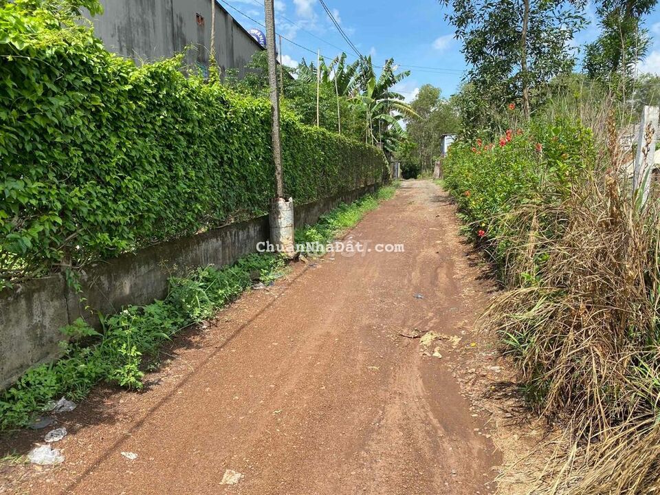 Đất thổ cư 100m2 KCN Bầu xéo ấp 1 sông trầu trảng bom Đất thổ cư 100m2 KCN Bầu xéo ấp 1 sông trầu trảng bom