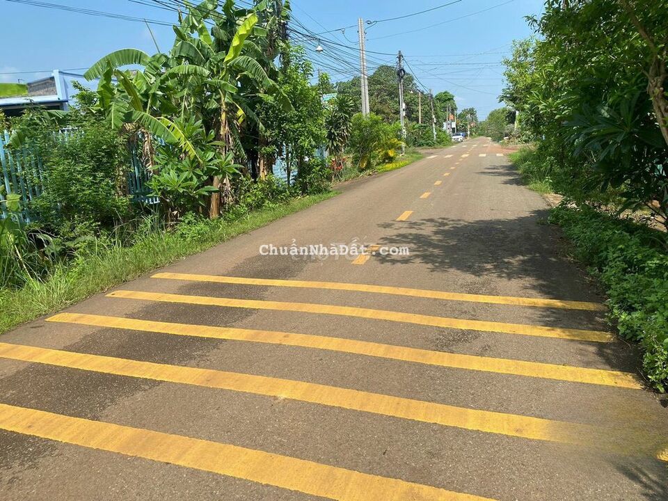 Bán Đất Đồng Nai ngay Chợ Đông Hòa Trảng Bom diện tích 100m2,shr Bán Đất Đồng Nai ngay Chợ Đông Hòa Trảng Bom diện tích 100m2,shr