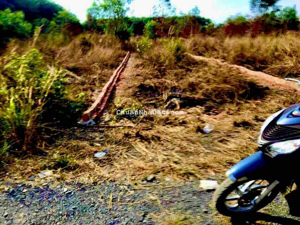 Đất sổ đỏ 107m2 full thổ cư tại xã sông trầu gần sát thị trấn TBom