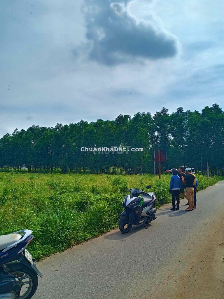 Đất sổ riêng thổ cư 120m2 xã đồi 61 trảng bom