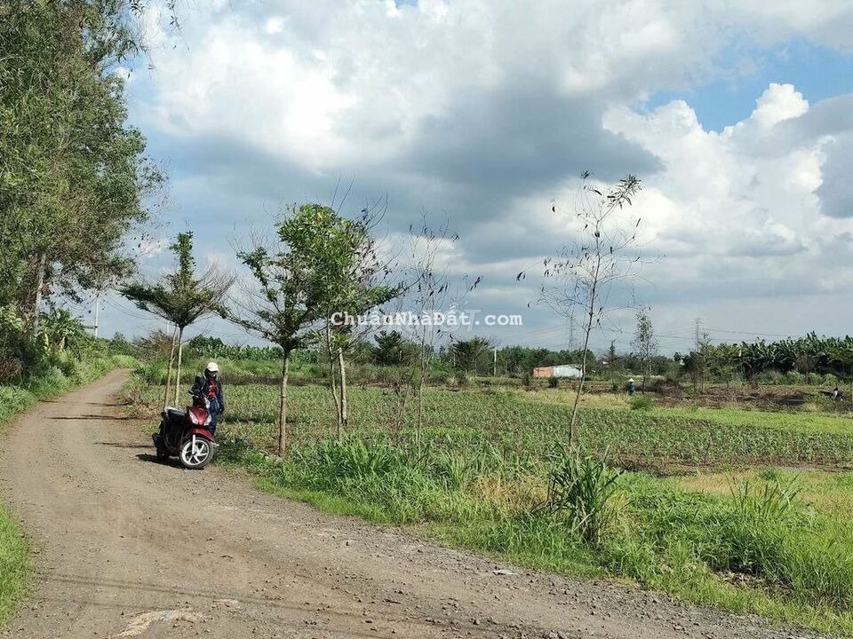 Bán lỗ 2 lô đất Sông Trầu Trảng Bom chỉ hơn 1trăm triệu Bán lỗ 2 lô đất Sông Trầu Trảng Bom chỉ hơn 1trăm triệu