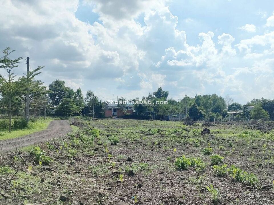 Bán lỗ 2 lô đất Sông Trầu Trảng Bom chỉ hơn 1trăm triệu Bán lỗ 2 lô đất Sông Trầu Trảng Bom chỉ hơn 1trăm triệu