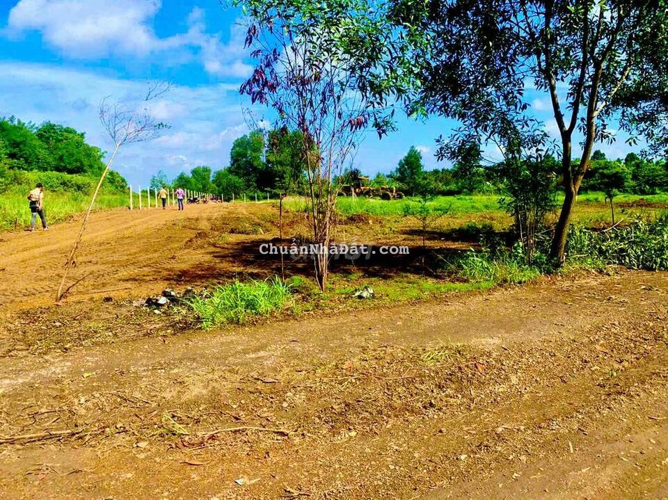 1435m2 full thổ cư đường sắp đổ nhựa cực rẻ 1435m2 full thổ cư đường sắp đổ nhựa cực rẻ