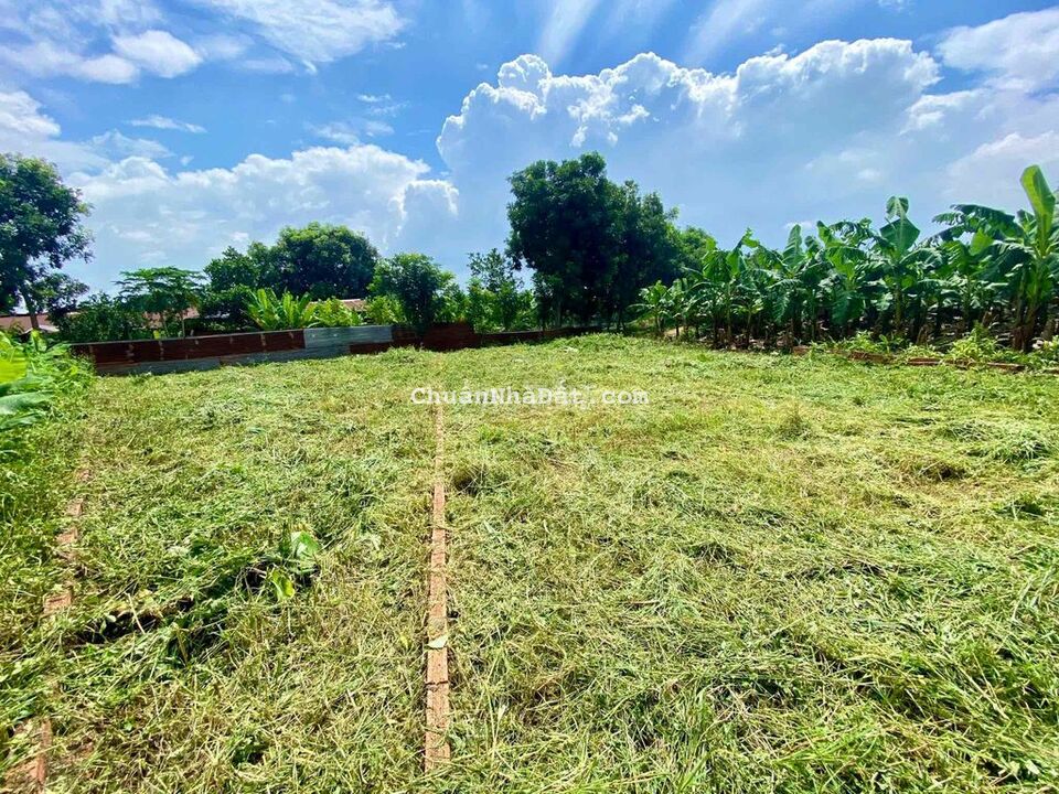 ĐẤT GIÁ RẺ CÔNG NHÂN ĐẤT GIÁ RẺ CÔNG NHÂN