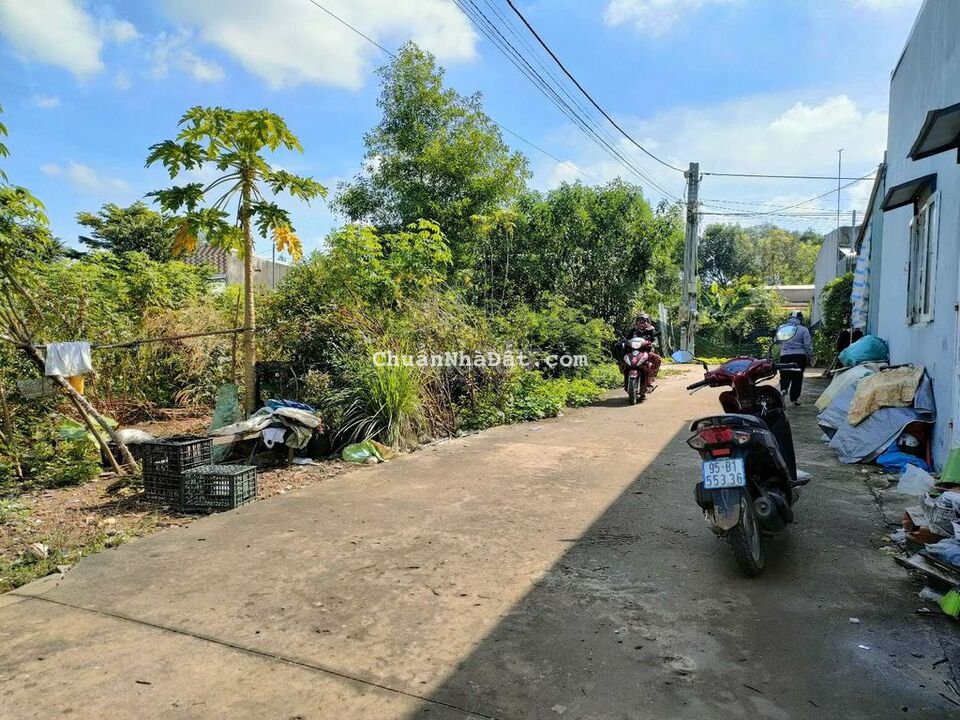 Cơ hội quá tốt để sở hữu 2 lô đất liền kề sau xã Sông Trầu