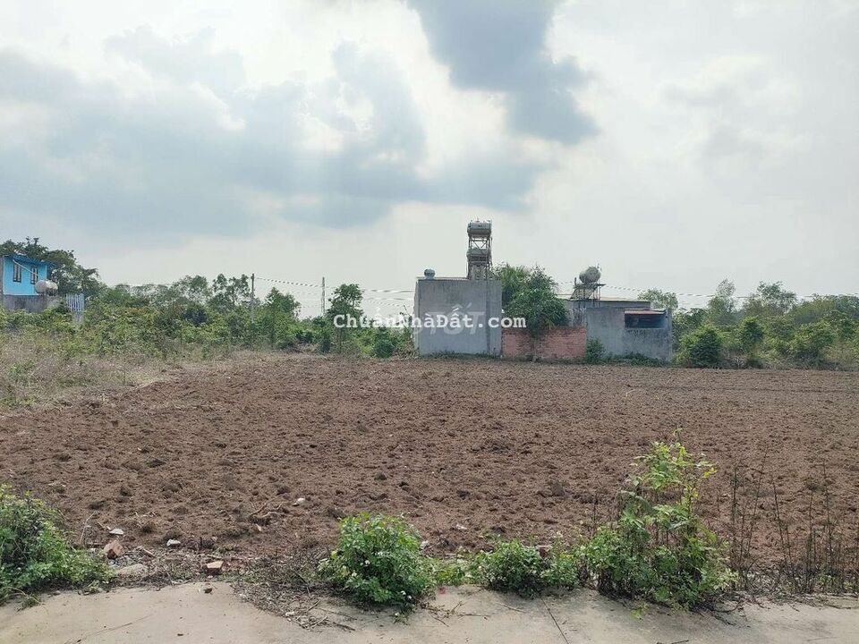 Cơ hội quá tốt để sở hữu 2 lô đất liền kề sau xã Sông Trầu