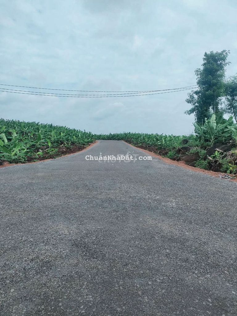 Chỉ 750tr 1 sào đất đg hiện hữu Ngân hàng hỗ trợ tại trảng Bom