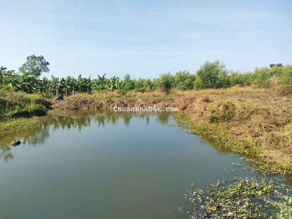 Chỉ 750tr 1 sào đất đg hiện hữu Ngân hàng hỗ trợ tại trảng Bom